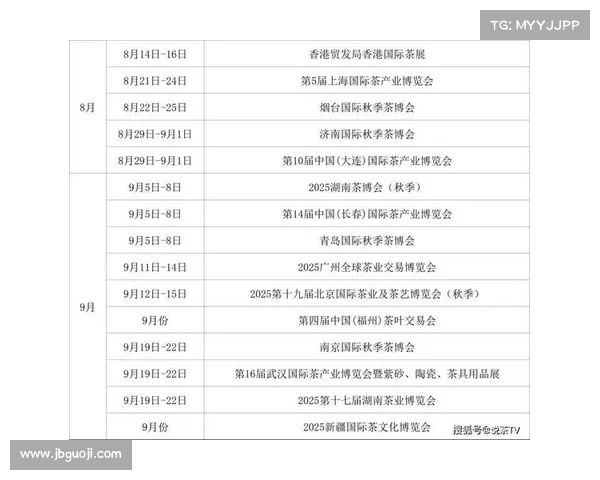 2025年足球球员转会市场行情分析报告及未来趋势预测 2025年足球球员转会市场行情分析报告及未来趋势预测