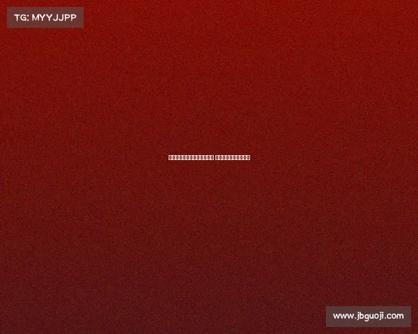 高效装备整理技巧与方法揭秘 让你的物品归类更有序